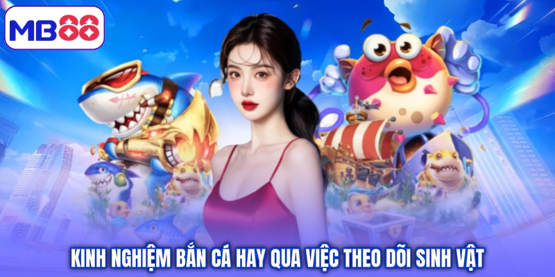 Kinh nghiệm bắn cá hay qua việc theo dõi sinh vật